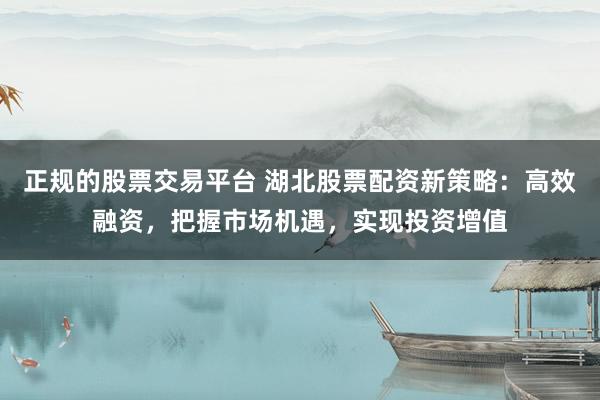 正规的股票交易平台 湖北股票配资新策略：高效融资，把握市场机遇，实现投资增值