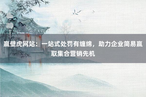 赢壁虎网站：一站式处罚有缠绵，助力企业简易赢取集合营销先机