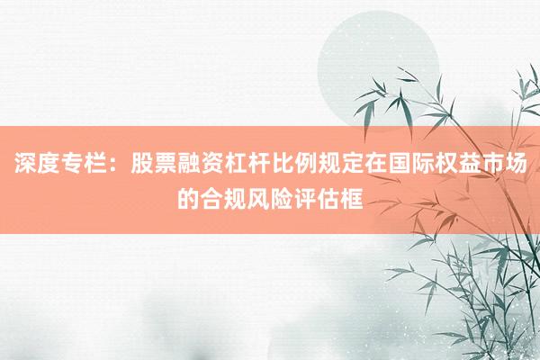 深度专栏：股票融资杠杆比例规定在国际权益市场的合规风险评估框