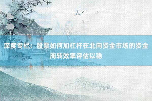 深度专栏：股票如何加杠杆在北向资金市场的资金周转效率评估以稳