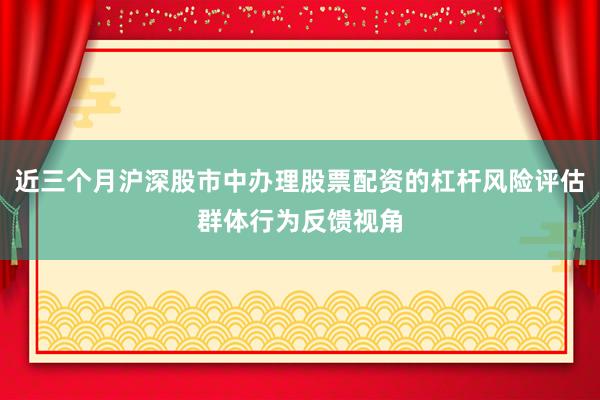 近三个月沪深股市中办理股票配资的杠杆风险评估群体行为反馈视角