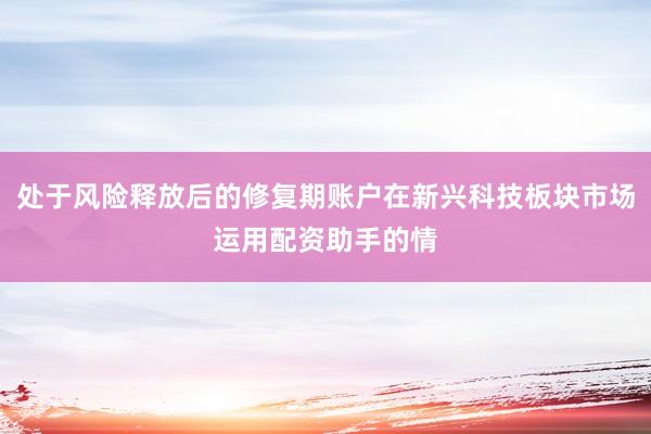 处于风险释放后的修复期账户在新兴科技板块市场运用配资助手的情