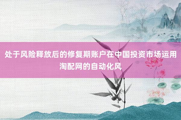 处于风险释放后的修复期账户在中国投资市场运用淘配网的自动化风