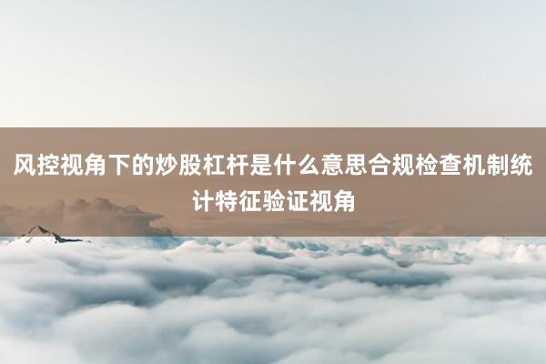 风控视角下的炒股杠杆是什么意思合规检查机制统计特征验证视角