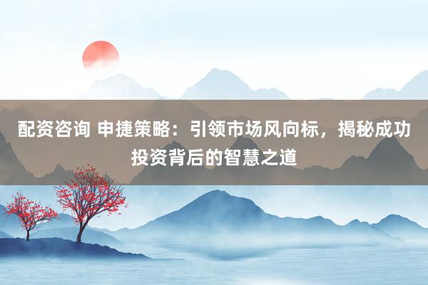 配资咨询 申捷策略：引领市场风向标，揭秘成功投资背后的智慧之道